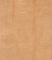 maple.75x0.jpg