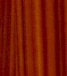 sapli--whatname.75x0.jpg