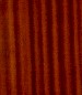 saplered--whatname.75x0.jpg